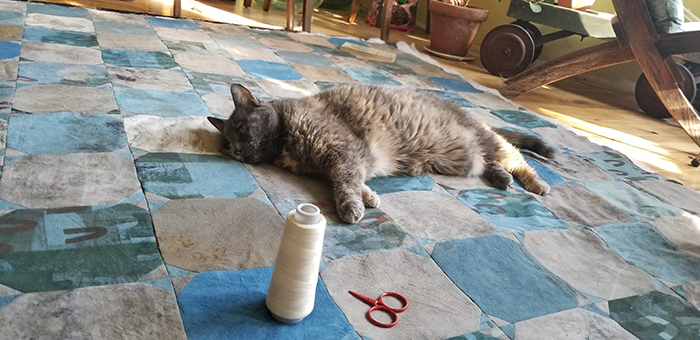 A tortoiseshell cat lying on a blue and gray quilt laid out on a floor, with a cone of white thread and a tiny pair of red embroidery scissors in the foreground.