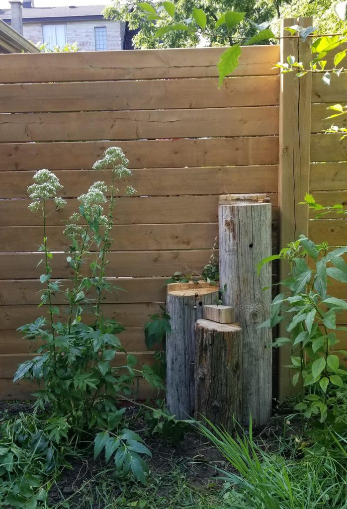 signal-2025-06-27-17-43-37-074