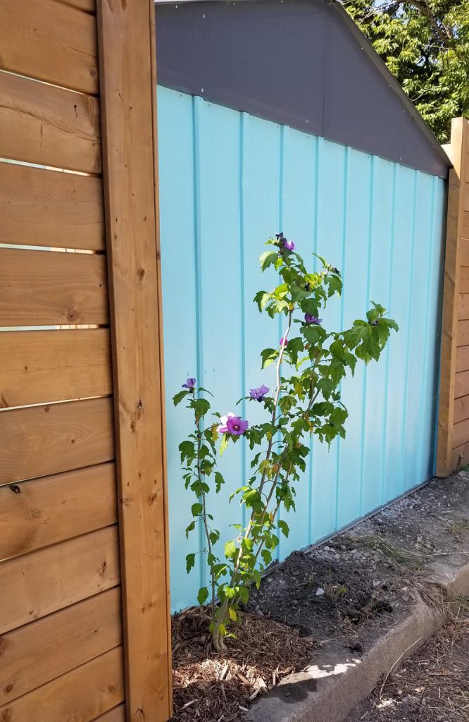 signal-2025-09-08-15-41-24-685