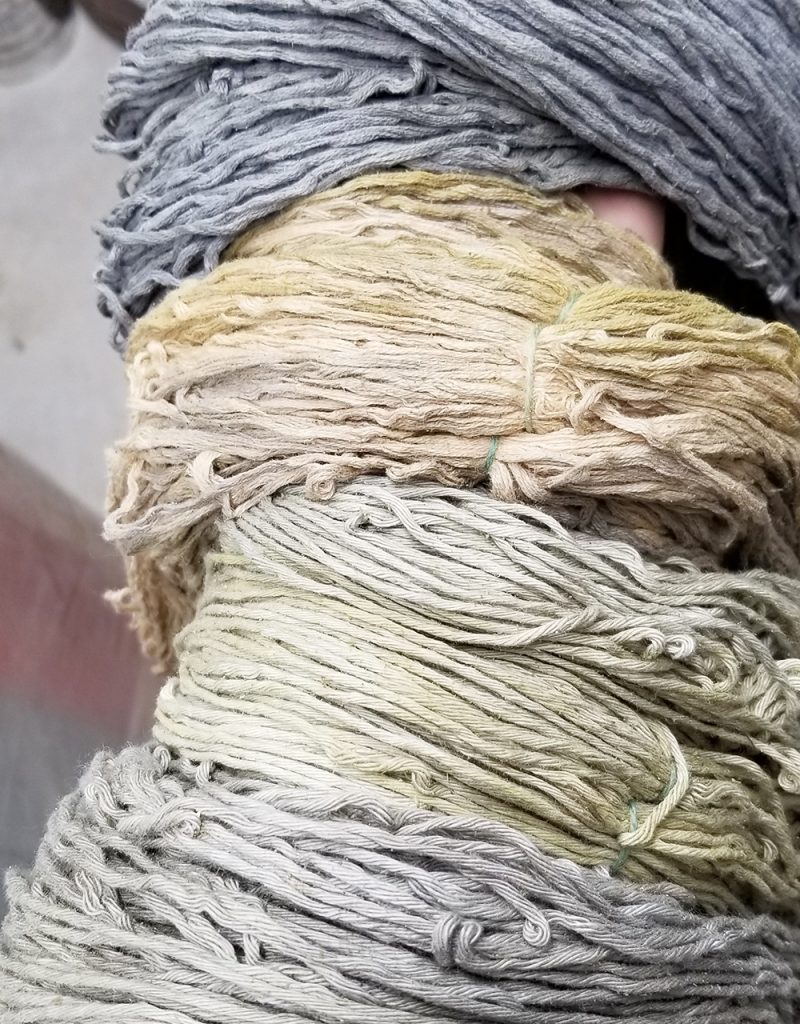 skeins of undyed cotton yarn in shades of yellow and gray