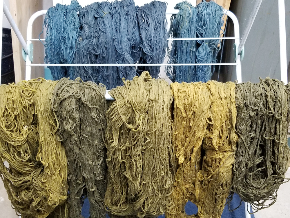 skeins of olive green and indigo yarns hanging on a drying rack