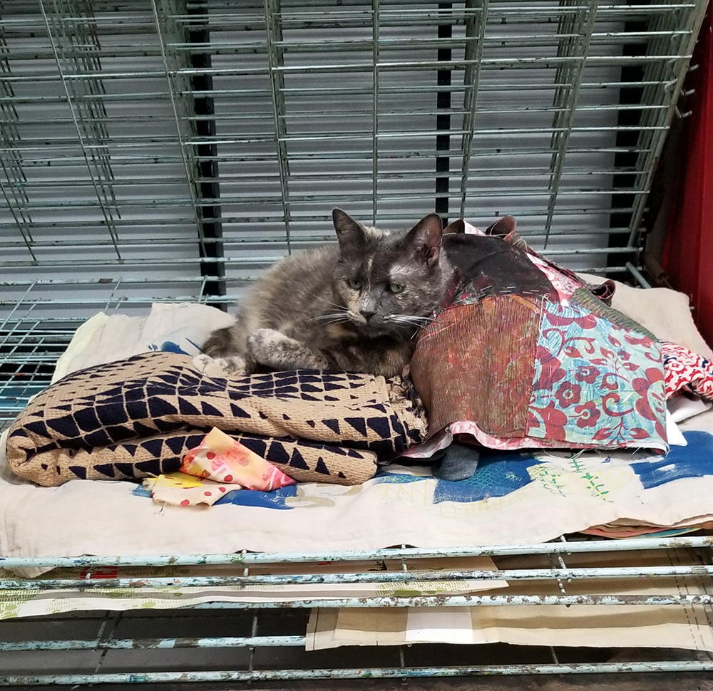 a tortoiseshell cat lying in a pile of fabric in a drying rack