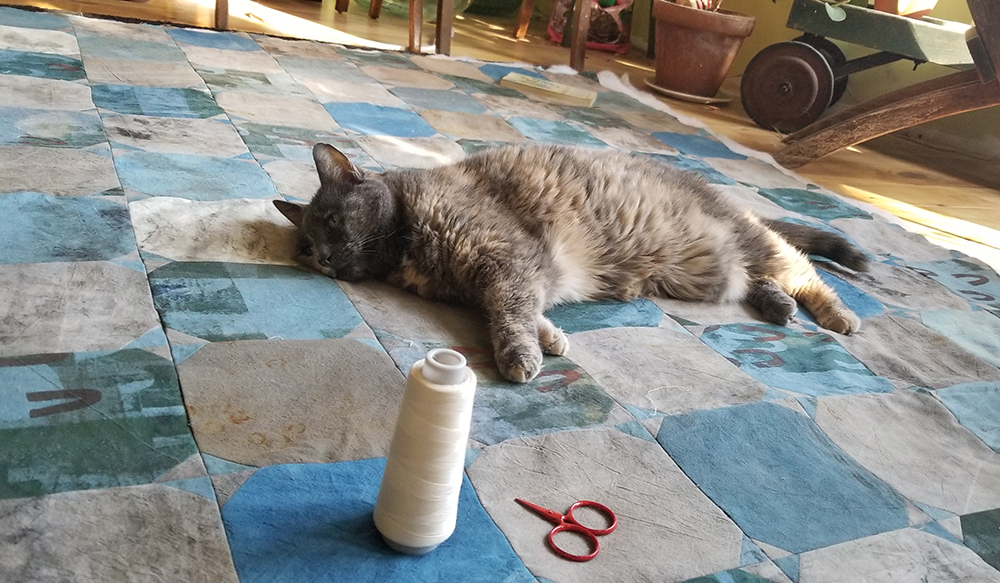 a tortoiseshell cat lying on a blue and gray quilt, with scissors and thread in the foreground