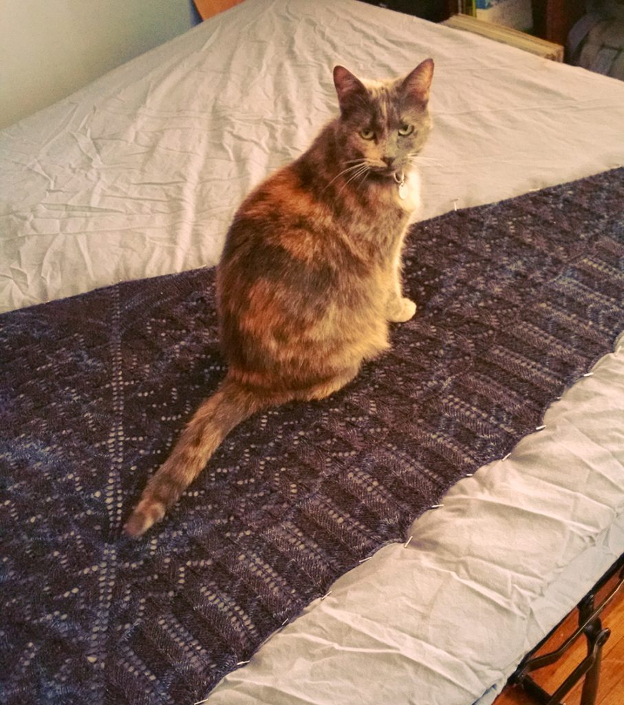 a tortiouseshell cat sitting on a triangular blue shawl that is laid out on a mattress