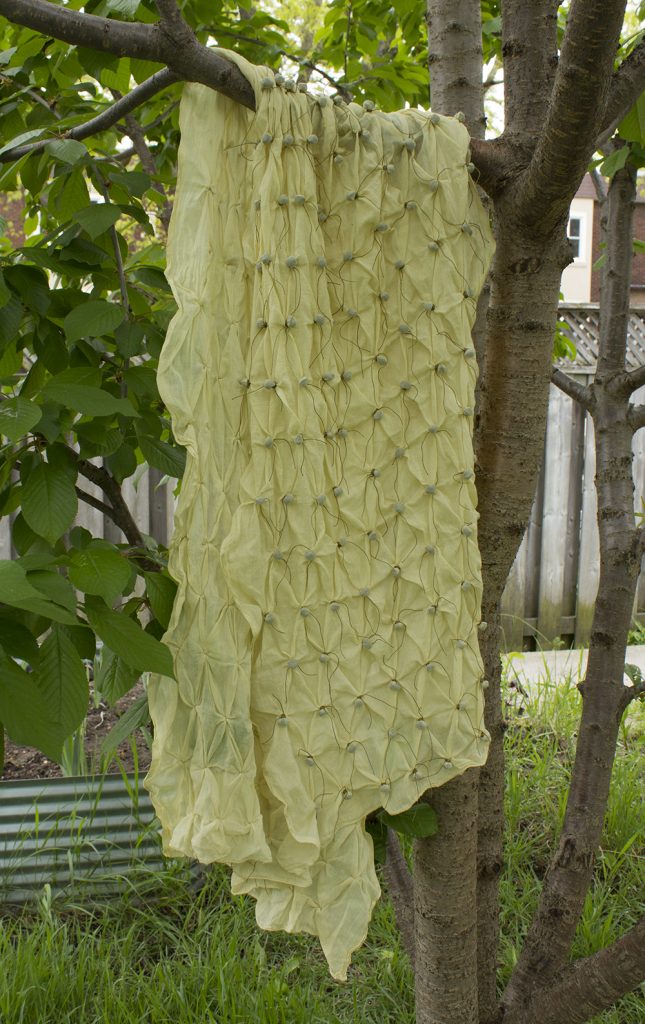 a pale yellow shawl hanging in a cherry tree